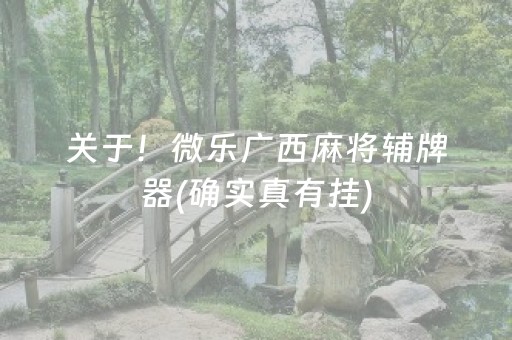 关于！微乐广西麻将辅牌器(确实真有挂)