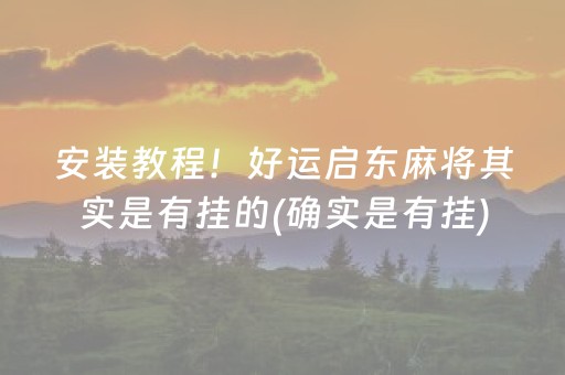 安装教程！好运启东麻将其实是有挂的(确实是有挂)