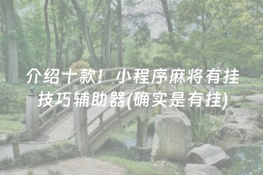 介绍十款！小程序麻将有挂技巧辅助器(确实是有挂)