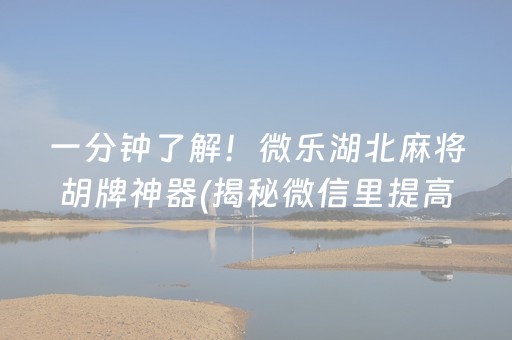 一分钟了解！微乐湖北麻将胡牌神器(揭秘微信里提高胜率)