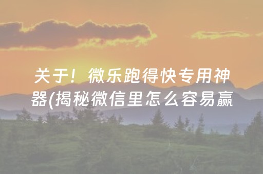 关于！微乐跑得快专用神器(揭秘微信里怎么容易赢)