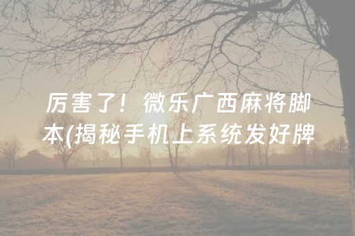 厉害了！微乐广西麻将脚本(揭秘手机上系统发好牌)