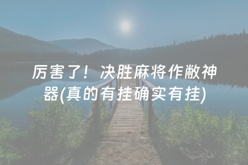 厉害了！决胜麻将作敝神器(真的有挂确实有挂)