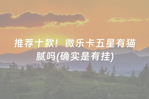 推荐十款！微乐卡五星有猫腻吗(确实是有挂)