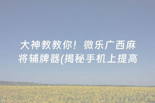 大神教教你！微乐广西麻将辅牌器(揭秘手机上提高赢的概率)