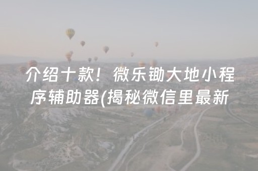 介绍十款！微乐锄大地小程序辅助器(揭秘微信里最新神器下载)