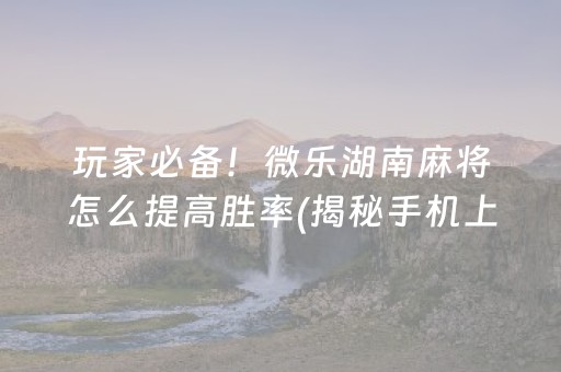 玩家必备！微乐湖南麻将怎么提高胜率(揭秘手机上辅牌器)