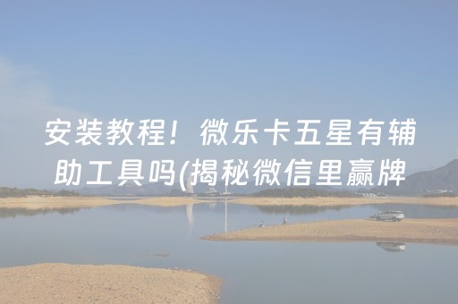 安装教程！微乐卡五星有辅助工具吗(揭秘微信里赢牌的技巧)