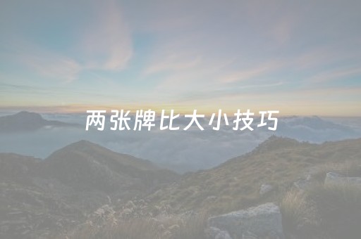两张牌比大小技巧（2张牌比大点数）