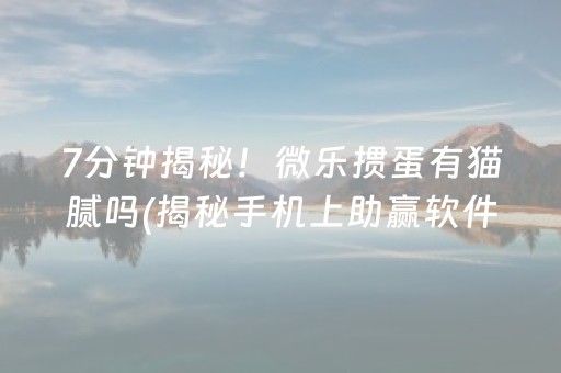 7分钟揭秘！微乐掼蛋有猫腻吗(揭秘手机上助赢软件)