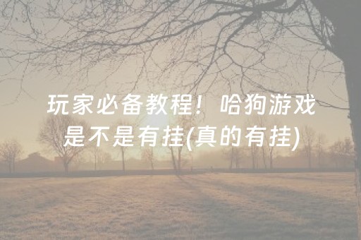 惠州旅游景点大全（惠州旅游景点大全地图）