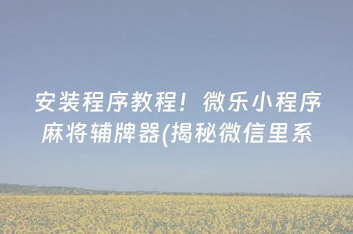 安装程序教程！微乐小程序麻将辅牌器(揭秘微信里系统发好牌)