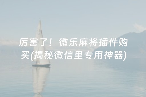 厉害了！微乐麻将插件购买(揭秘微信里专用神器)