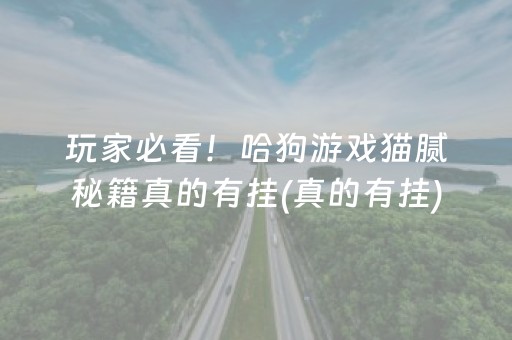 周边一日游（上海周边一日游）