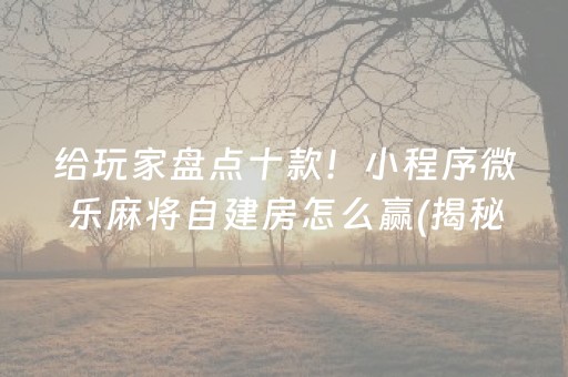 玩家必备教程“到底去哪里买麻将挂不被骗”!(确实是有挂)-知乎