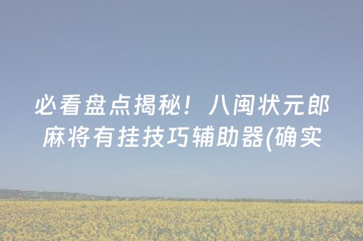 必看盘点揭秘！八闽状元郎麻将有挂技巧辅助器(确实是有挂的)