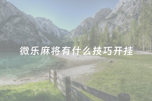 胜率设置方法！中至赣牌圈辅助器(怎么打系统才能给好牌)