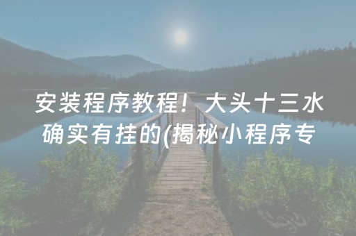 安装程序教程！大头十三水确实有挂的(揭秘小程序专用神器)