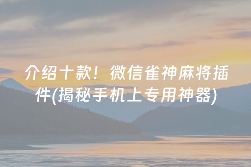 介绍十款！微信雀神麻将插件(揭秘手机上专用神器)