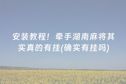 安装教程！牵手湖南麻将其实真的有挂(确实有挂吗)