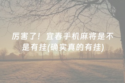 厉害了！宜春手机麻将是不是有挂(确实真的有挂)