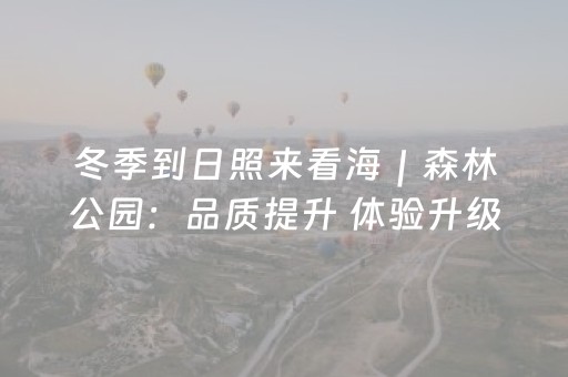 冬季到日照来看海｜森林公园：品质提升 体验升级