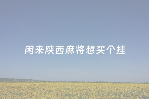 闲来陕西麻将想买个挂（闲来陕西麻将到底有没有挂）