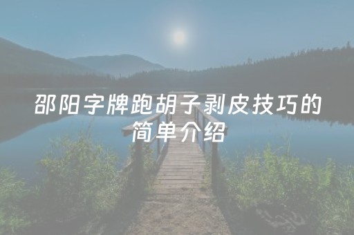 邵阳字牌跑胡子剥皮技巧的简单介绍（邵阳字牌 跑胡子技巧）