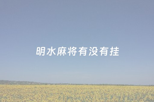 明水麻将有没有挂（麻将明是什么意思）