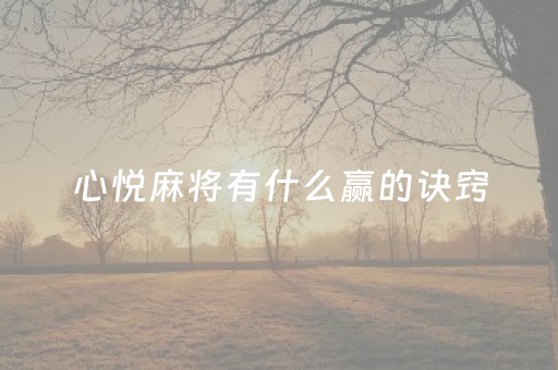 心悦麻将有什么赢的诀窍（心悦麻将游戏规则）