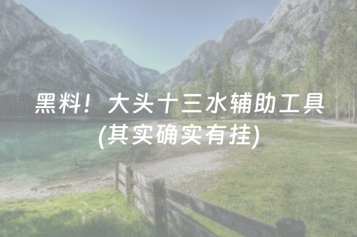 黑料！大头十三水辅助工具(其实确实有挂)