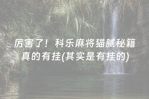 黑料！微乐龙江麻将有什么规律(怎么搞提高胜率)