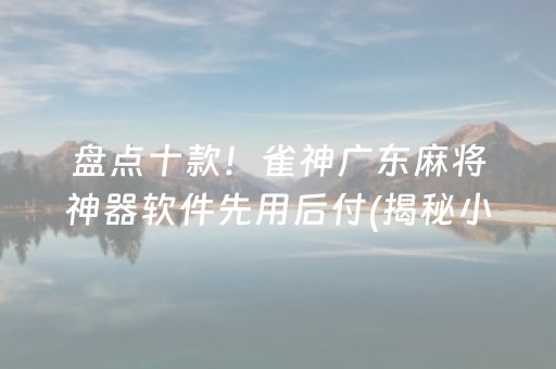 盘点十款！雀神广东麻将神器软件先用后付(揭秘小程序插件下载)