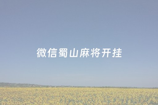 微信蜀山麻将开挂（微信蜀山四川麻将外卦神器安装）