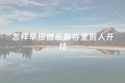 怎样举报微乐麻将里别人开挂（微乐麻将怀疑有人开挂怎么办）