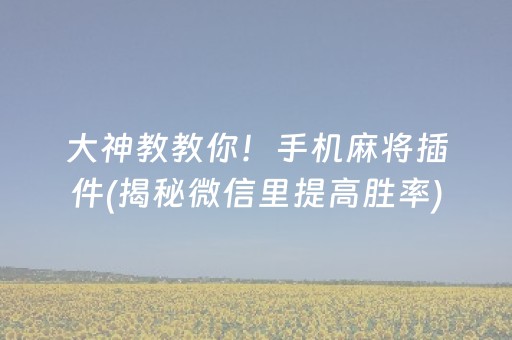 大神教教你！手机麻将插件(揭秘微信里提高胜率)