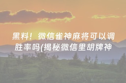 黑料！微信雀神麻将可以调胜率吗(揭秘微信里胡牌神器)