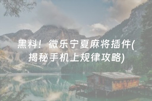 黑料！微乐宁夏麻将插件(揭秘手机上规律攻略)