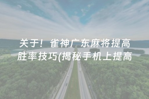 关于！雀神广东麻将提高胜率技巧(揭秘手机上提高赢的概率)