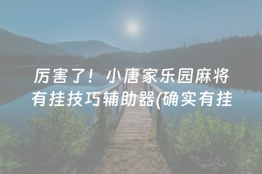 厉害了！小唐家乐园麻将有挂技巧辅助器(确实有挂)