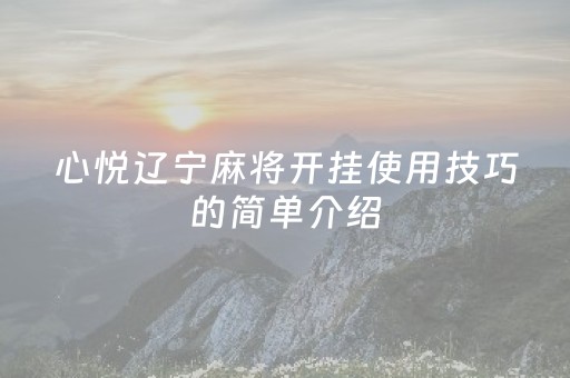 心悦辽宁麻将开挂使用技巧的简单介绍