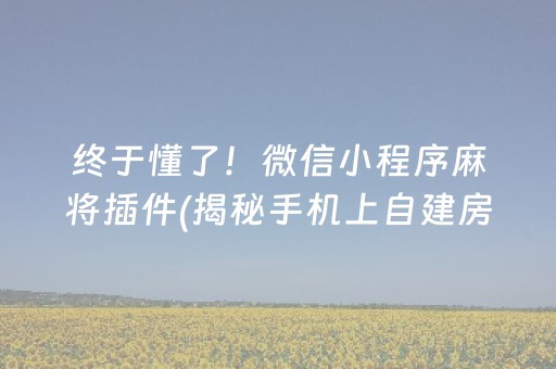 终于懂了！微信小程序麻将插件(揭秘手机上自建房怎么赢)