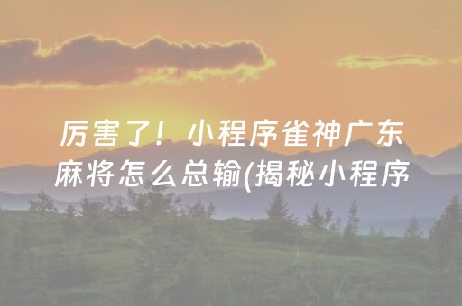 厉害了！小程序雀神广东麻将怎么总输(揭秘小程序插件下载)