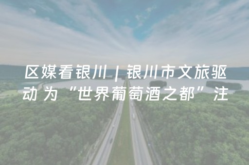 区媒看银川｜银川市文旅驱动 为“世界葡萄酒之都”注入新活力