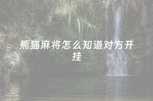 熊猫麻将怎么知道对方开挂（熊猫麻将怎么知道对方开挂了）