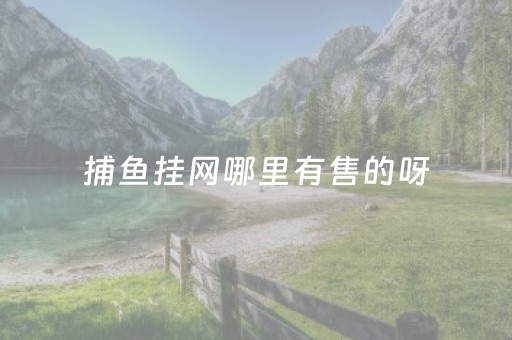 捕鱼挂网哪里有售的呀（挂网捕鱼违法吗）