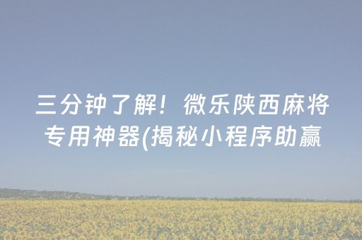 三分钟了解！微乐陕西麻将专用神器(揭秘小程序助赢神器购买)