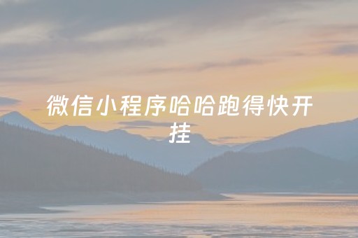 微信小程序哈哈跑得快开挂（哈哈跑的快开挂神器）