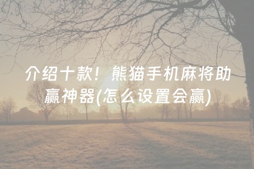 介绍十款！熊猫手机麻将助赢神器(怎么设置会赢)