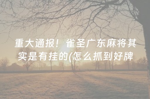 重大通报！雀圣广东麻将其实是有挂的(怎么抓到好牌)